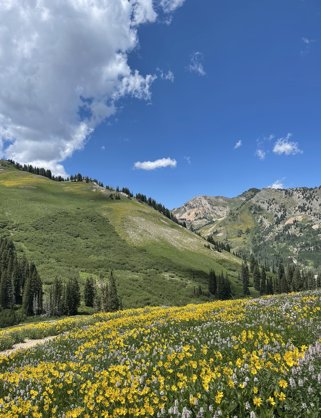 Mountain Png